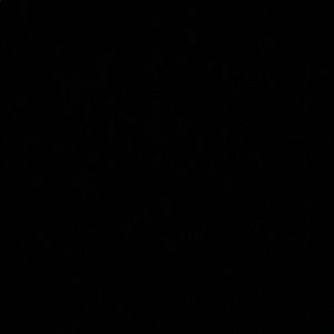 Meet your Posher, Miguel